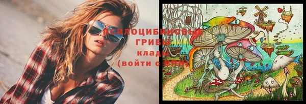 трава Алексин