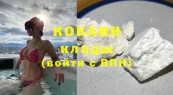 твердый Алзамай