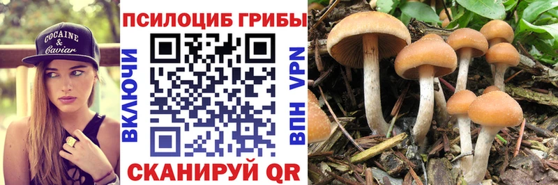 как найти закладки  hydra маркетплейс  Псилоцибиновые грибы Cubensis  Камешково 